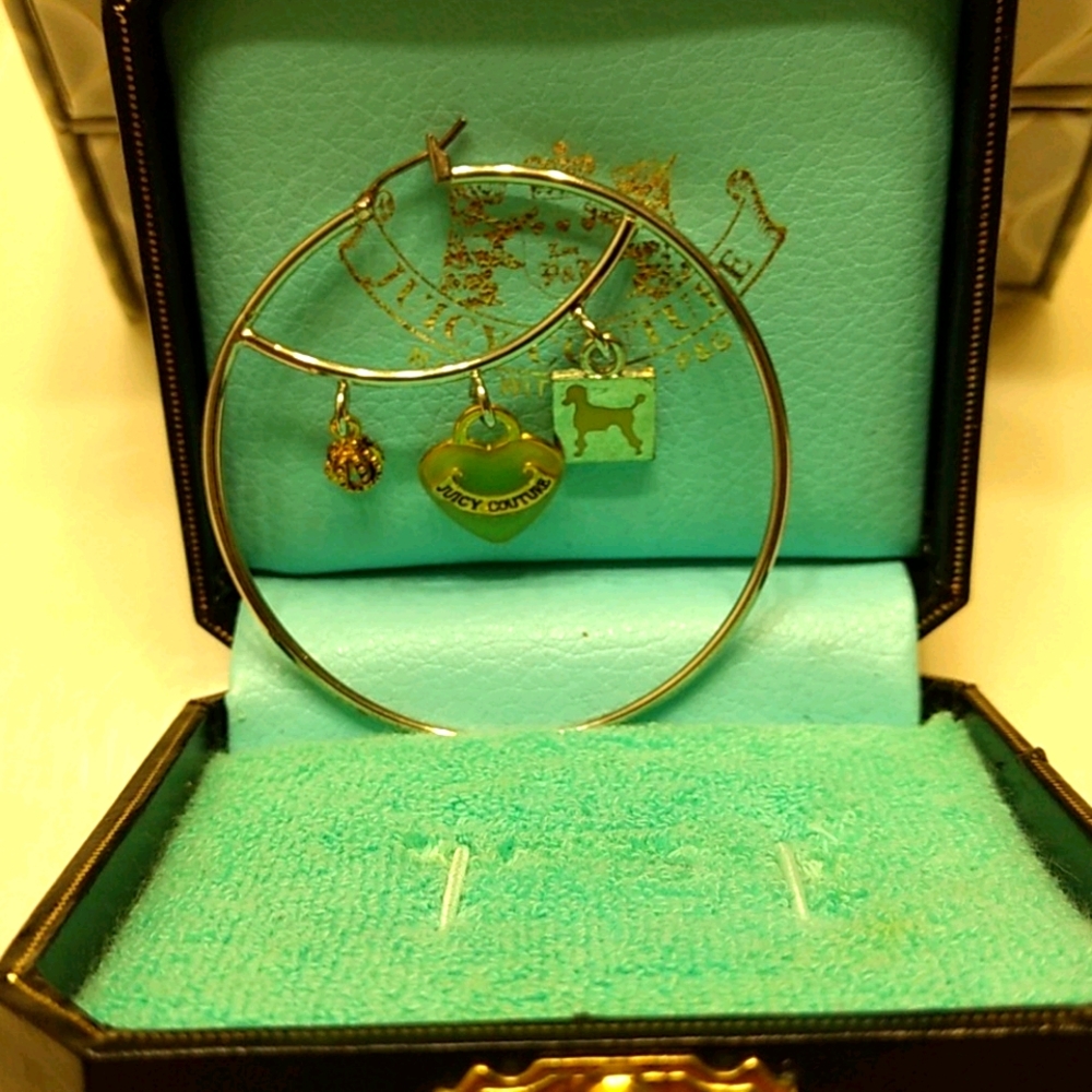 Hoop earrings nwt